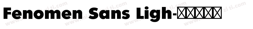 Fenomen Sans Ligh字体转换